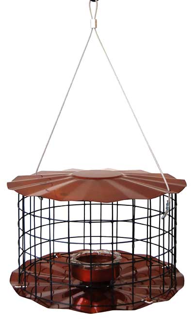 Erva Caged Bluebird Feeder - Copper