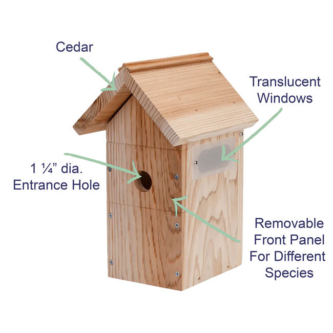 Nestera Wooden Bird House w/Solar Powered Camera & Panel