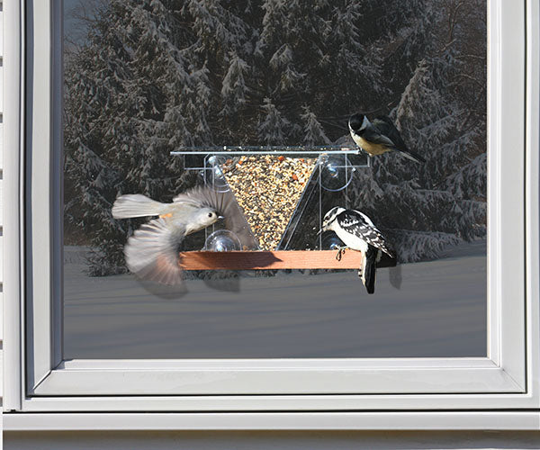 Window Feeder 3