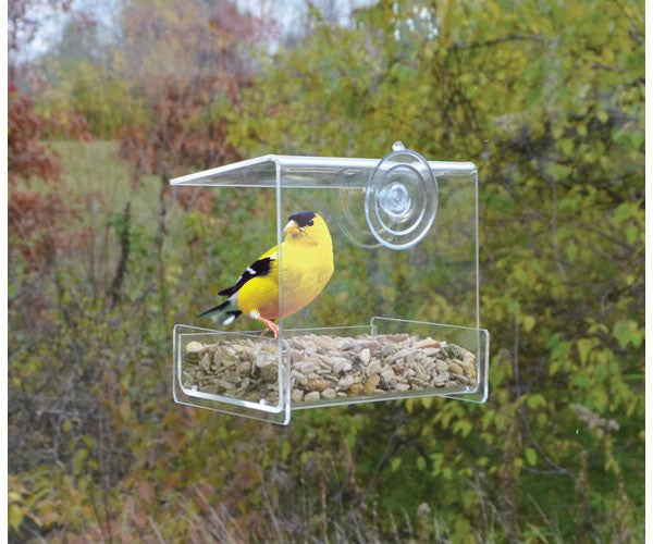 Clear View Mini Feeder (2-pack)