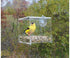 Clear View Mini Feeder (2-pack)