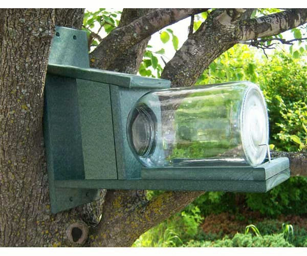 Recycled Plastic Squirrel Jar Feeder