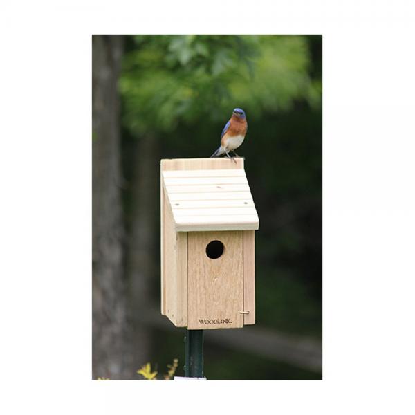 Woodlink BlueBird House