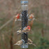 Nyjer feeder with Ring Pull Silver 6 port