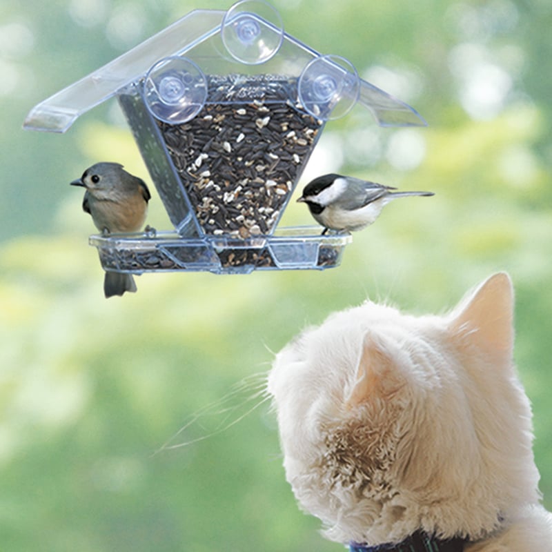 Café Transparent Window Bird Feeder