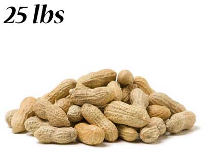 Peanuts in the Shell - 25 lbs