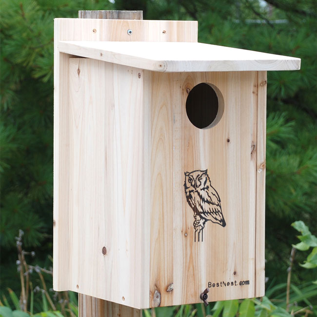 BestNest Premium Screech Owl / Kestrel House- Bird House