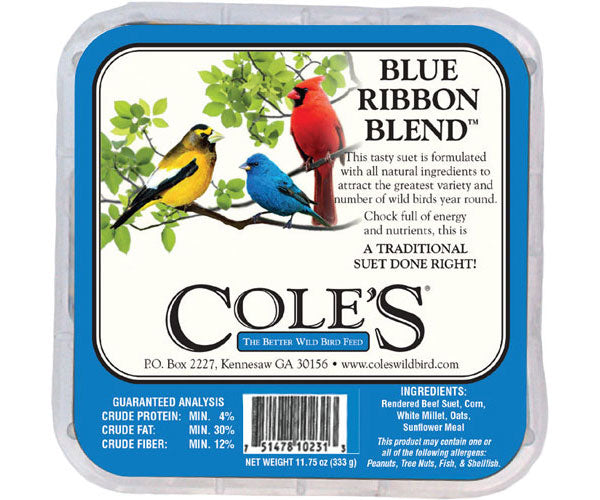 Cole's Blue Ribbon Blend Suet Cake - 12 Pack