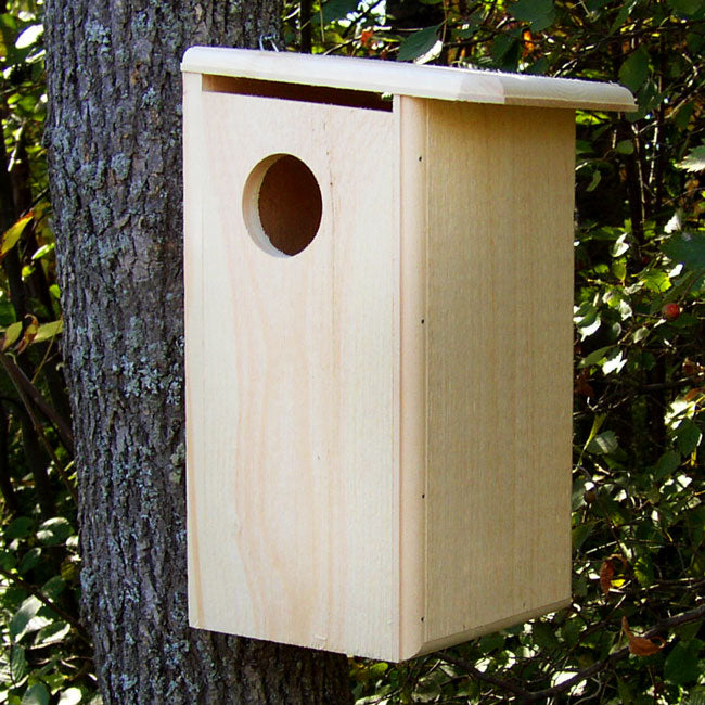 Coveside Squirrel House