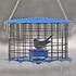 Erva Caged Bluebird Feeder