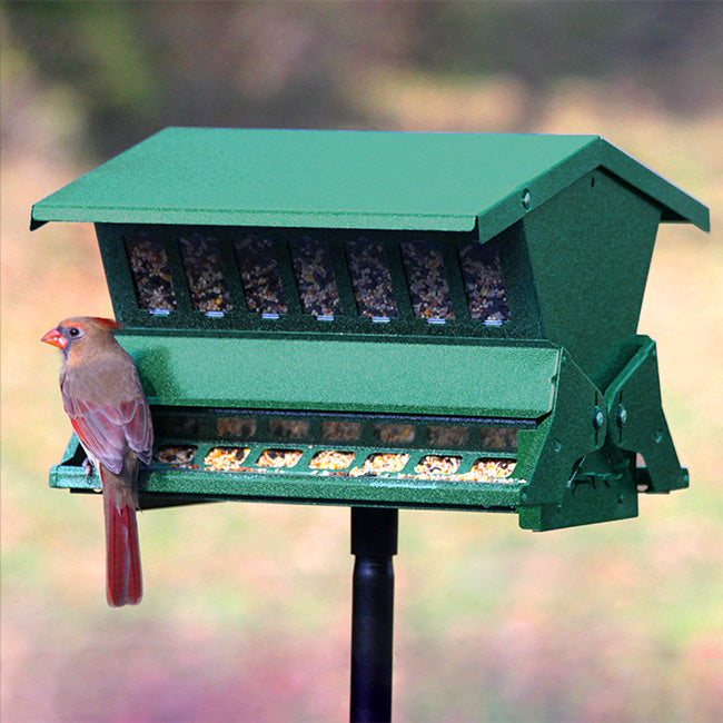 Double Sided Absolute II Bird Feeder with Pole & Hanger