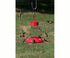 Copy of Ruby Etched Hummingbird Lantern