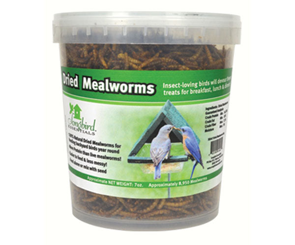 Tub of Dried Mealworms