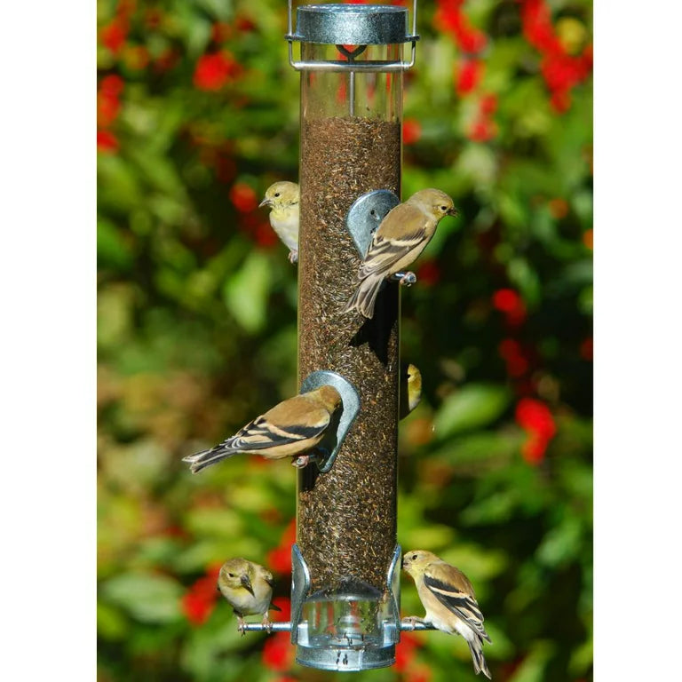 Nyjer feeder with Ring Pull Silver 6 port